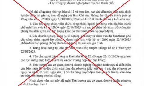Đà Nẵng không chủ trương chỉ đạo nghỉ làm việc do bão số 12