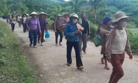 Quảng Ngãi: Cả làng rời nhà tránh lở núi  