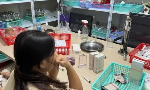 Công an TP HCM bắt giám đốc Công ty Nguyên Hương