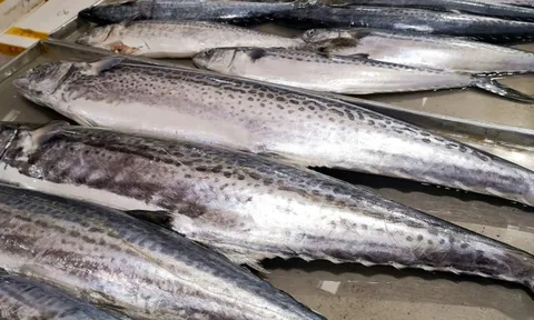 Không phải lươn hay chạch, 3 loại cá nên ăn nhiều vào mùa lạnh: Thịt nhiều ít xương, dễ tiêu và ngon quên lối về