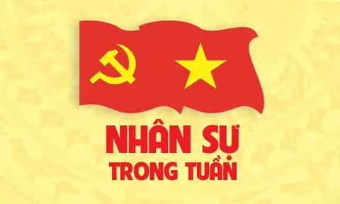 Nhân sự trong tuần: Bổ nhiệm, chỉ định cán bộ ở nhiều địa phương