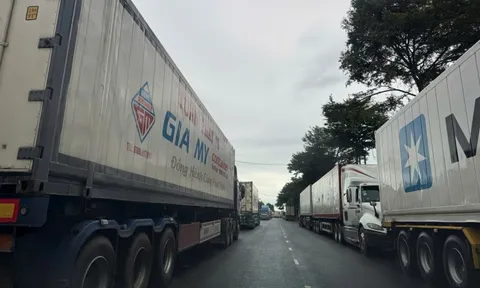 Hàng ngàn container sầu riêng ùn ứ, Hiệp hội Sầu riêng Đắk Lắk kiến nghị "khẩn"