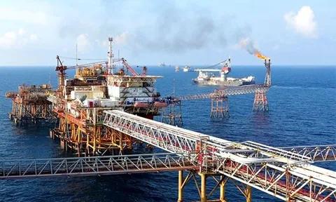 Petrovietnam muốn thoái hết vốn ở 2 công ty
