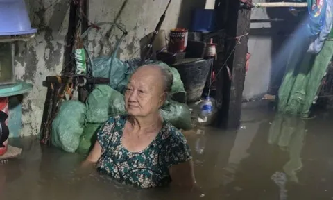 Triều cường dâng cao khủng khiếp ở miền Tây, nhiều nơi ngập tới ngực