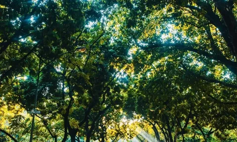 Miền Bắc tăng nhiệt mạnh, miền Trung vẫn mưa như trút