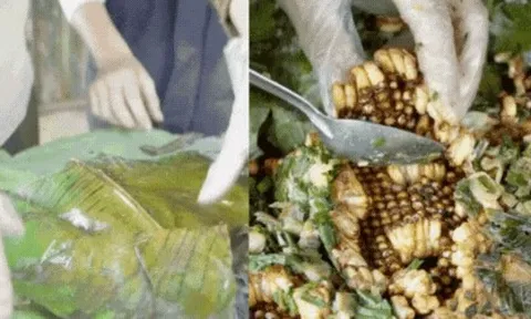 Hơn 9 triệu người vào xem món đặc sản núi rừng béo ngậy này, nhưng không biết có bao nhiêu người dám thử?