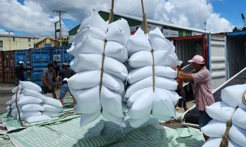 Việt Nam duy trì vị trí đối tác xuất khẩu gạo lớn thứ 3 tại thị trường Singapore