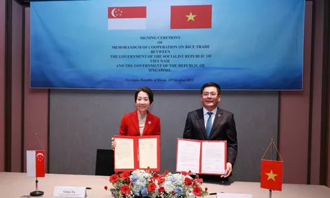 Việt Nam và Singapore ký Bản ghi nhớ hợp tác thương mại gạo