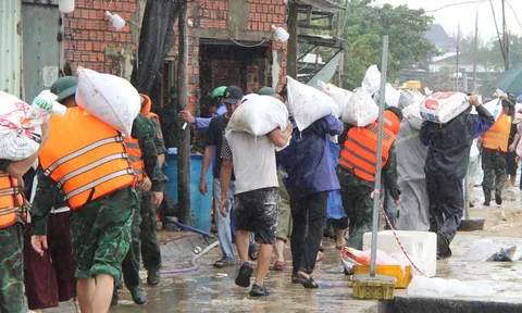 CLIP: 48 giờ lấy sức người chống thế nước, cứu kè biển An Lương