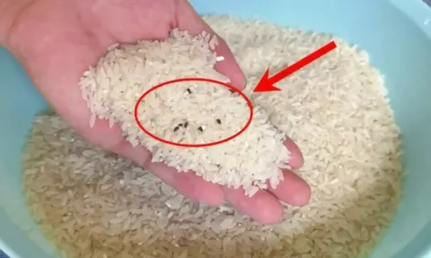 Người xưa dặn không sai: Gạo cất ở 5 nơi, cả gia đình mắc bệnh
