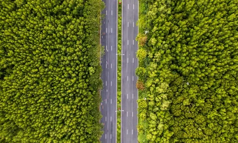 Sở Xây dựng TP.HCM: Phấn đấu cuối năm khởi công metro đi Cần Giờ