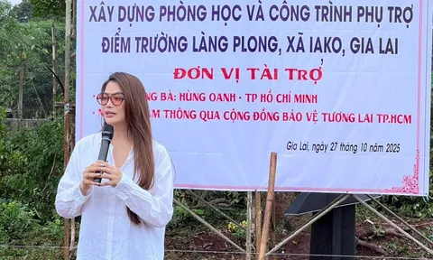 Những hoạt động của diễn viên Trương Ngọc Ánh trước khi bị bắt