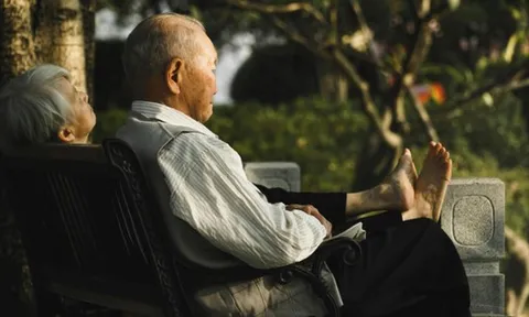 Tiết kiệm được 17 tỷ đồng, cụ ông lập di chúc trao hết cho người lạ khiến 2 con chết sững