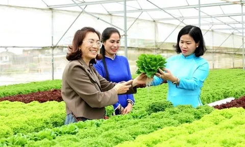 Thủ tướng phê duyệt Đề án Hỗ trợ phụ nữ khởi nghiệp giai đoạn 2026 - 2035