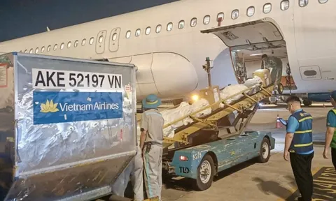 Chuyến bay Vietnam Airlines chở hàng hỗ trợ từ TP HCM đến miền Trung đã hạ cánh