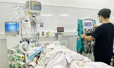 Người đàn ông ở Đà Nẵng nguy kịch vì rắn hoa cổ đỏ cắn khi đi bắt rắn