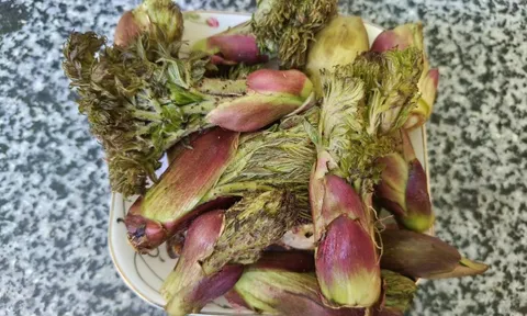 Loại rau người Trung Quốc ví là “cao lương mỹ vị số 1 thế giới”: Mọc hoang đầy Việt Nam, ít người biết