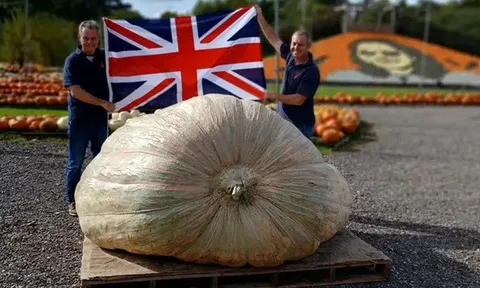 Cặp sinh đôi người Anh lập kỷ lục thế giới với quả bí ngô khổng lồ nhất từng thấy