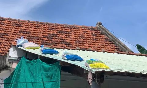 Đắk Lắk họp khẩn cấp để ứng phó với bão Kalmaegi