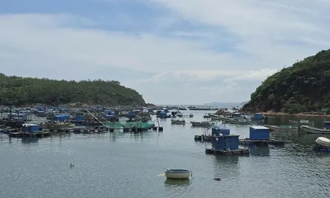 Đắk Lắk cho học sinh ven biển nghỉ học từ ngày 5 đến 7/11 để phòng, tránh bão số 13