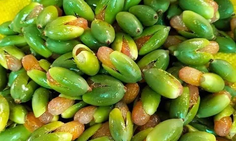Loại quả xưa chỉ bỏ đi nay thành đặc sản độc đáo, nhiều tác dụng với sức khỏe