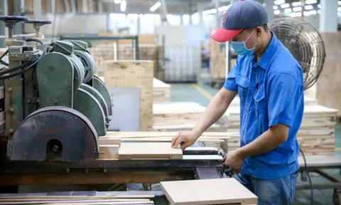 Kinh tế tư nhân - Động lực phải thành thực tế