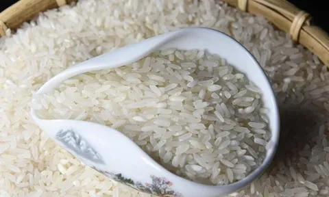 3 loại gạo đáng lẽ phải BỊ CẤM từ lâu, vậy mà nhiều người vẫn ăn