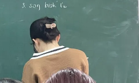 Nếu bạn nghĩ "trình" tiếng Việt của mình đã đỉnh, xem xong bài tập dưới đây chắc chắn sẽ phải nghĩ lại!