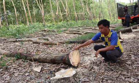 Hơn 300 tỉ đồng giải phóng mặt bằng làm cao tốc TP HCM - Thủ Dầu Một - Chơn Thành qua Đồng Nai