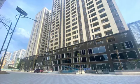 TPHCM: 160 dự án chưa xác định hình thức thực hiện nghĩa vụ nhà ở xã hội