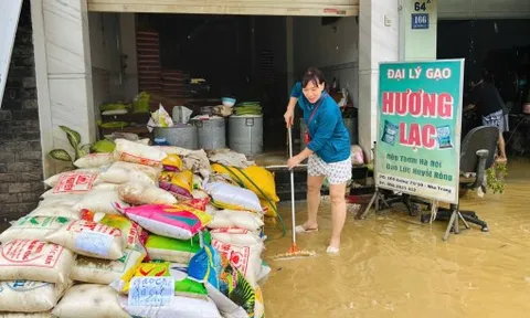 Nước vừa rút sáng 21/11, người dân Khánh Hoà oằn mình dọn dẹp sau lũ