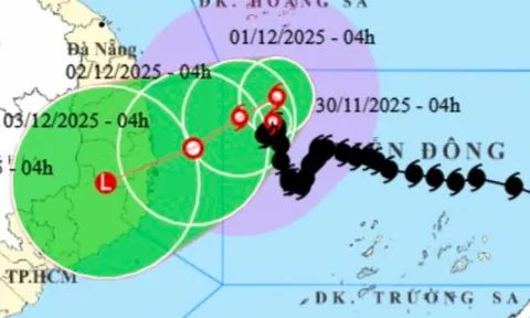 Bão số 15 giật cấp 11, "đi bộ" trên Biển Đông