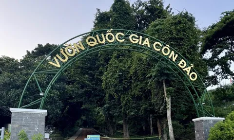 TPHCM: Thành lập Hạt Kiểm lâm rừng đặc dụng Vườn Quốc gia Côn Đảo