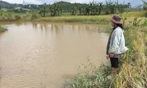 Thủy điện tích nước làm ngập đất sản xuất nhưng suốt nhiều năm "không thiện chí" đền bù!