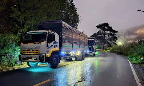 Hình ảnh xe tải nườm nượp lên xuống Đà Lạt vào chiều tối 30-11