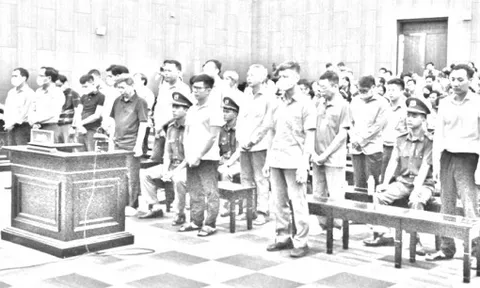 Các bị cáo vụ Tập đoàn Thuận An chuẩn bị hầu tòa phúc thẩm