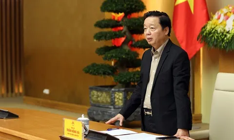 Chống khai thác IUU, Phó Thủ tướng chỉ đạo nếu có vi phạm phải xử lý đến cùng