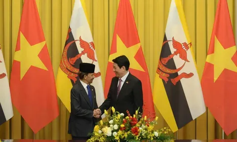 Thúc đẩy thương mại, đầu tư Việt Nam - Brunei