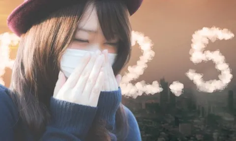 Không màu, không mùi nhưng độc nhất Hà Nội lúc này: Vì sao chúng nguy hiểm?