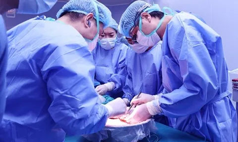 Phạm nhân chỉ được phép hiến mô, tạng cho người thân thích