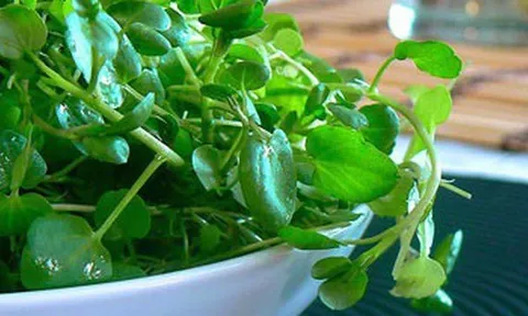 Chợ Việt có loại rau 10.000/bó, là "trùm cuối" chống ung thư được cả thế giới công nhận