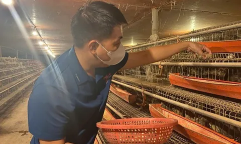 Từ hai bàn tay trắng, chàng trai trẻ trở thành triệu phú nhờ nuôi con "mắn đẻ"