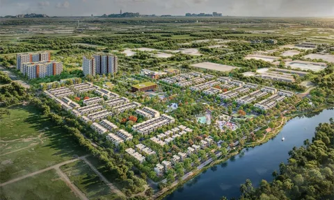 Quý 3/2025, TTC Land tăng tốc với doanh thu và lợi nhuận tích cực