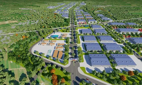 Thành Phương Real: Kiến tạo hệ sinh thái công nghiệp đa ngành