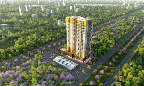 Bcons cùng đối tác Nhật khởi động dự án đầu tay