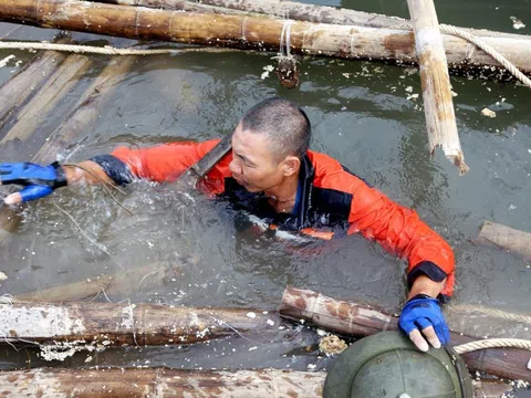 Nghìn tỷ mất trắng: Bắt buộc mua bảo hiểm nông nghiệp khi vay vốn