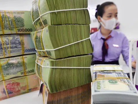 Cổ đông Vĩnh Hoàn, Ôtô Trường Long, VietBank sắp nhận 'mưa cổ tức'