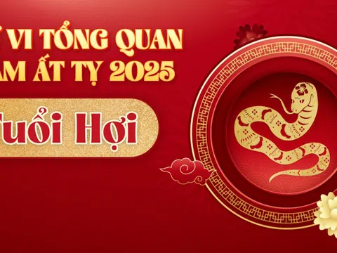 Tử vi tổng quan tuổi Hợi năm Ất Tỵ 2025: Sự nghiệp thăng tiến, tài lộc dồi dào, lưu ý chuyện tiền bạc