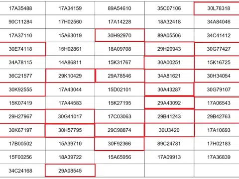 Thái Bình thông báo 65 phương tiện nhanh chóng nộp phạt nguội theo Nghị định 168: Nhiều chủ xe Hà Nội vi phạm 1 lỗi này