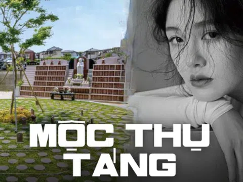 Mộc thụ táng - Hình thức chôn cất theo di nguyện của Từ Hy Viên được thực hiện như thế nào?